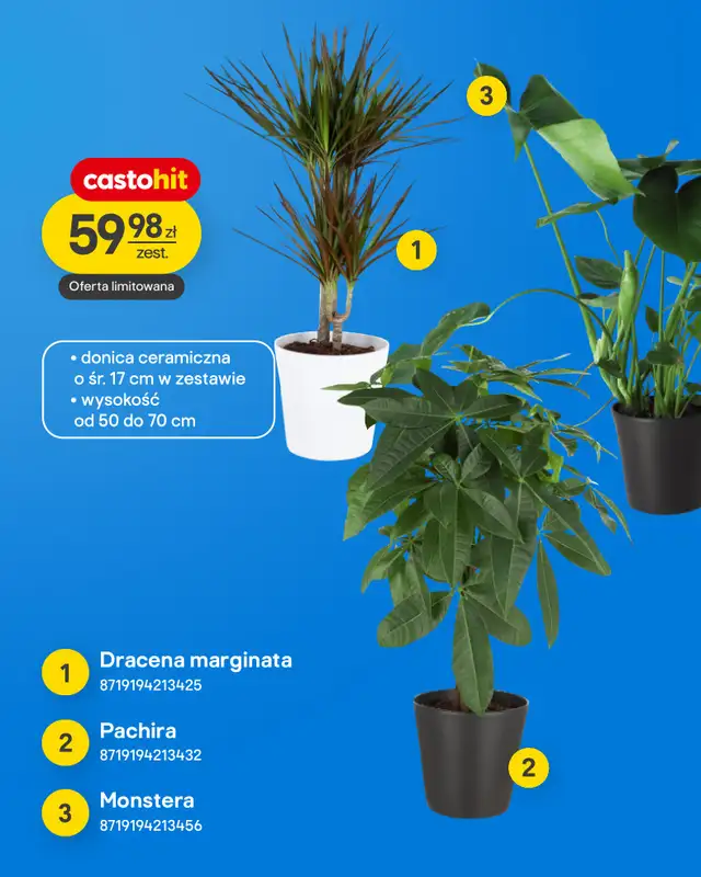 Castorama - gazetka promocyjna Ogród od środy 04.03 do wtorku 17.03 - strona 10