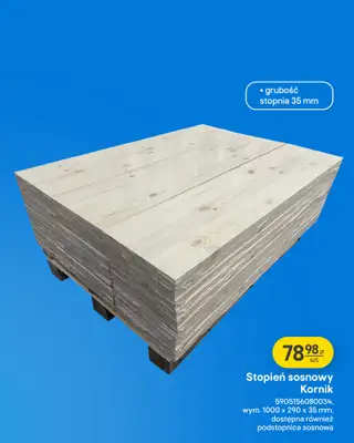 Castorama - gazetka promocyjna Podłogi, drzwi od środy 04.03 do wtorku 17.03 - strona 15