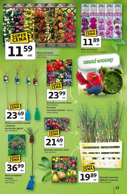 Auchan - gazetka promocyjna Gazetka 30 Lat Hipermarket Auchan od czwartku 05.03 do środy 11.03 - strona 15