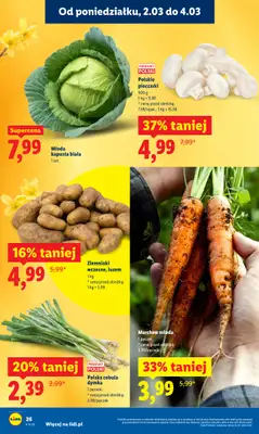Lidl - gazetka promocyjna Oferta od poniedziałku od poniedziałku 02.03 do środy 04.03 - strona 26