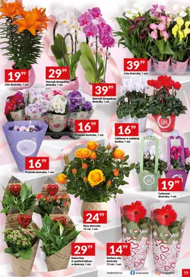 Twój Market - gazetka promocyjna Gazetka od środy 04.03 do wtorku 10.03 - strona 19