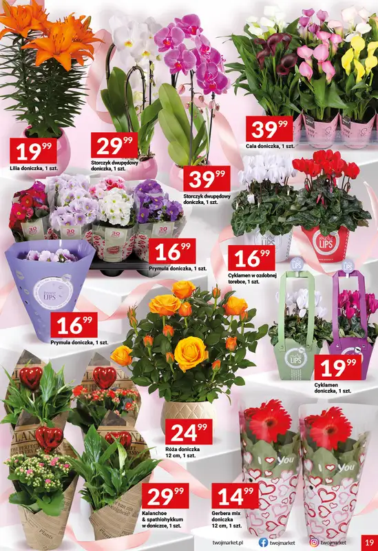 Twój Market - gazetka promocyjna Gazetka od środy 04.03 do wtorku 10.03 - strona 19