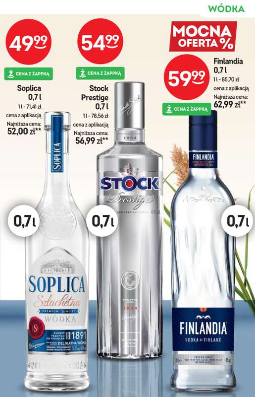 Żabka - gazetka promocyjna Katalog alkoholi od środy 04.03 do wtorku 17.03 - strona 19
