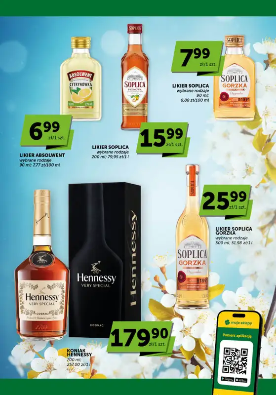 Groszek - gazetka promocyjna Katalog alkoholowy  do środy 18.03 - strona 6