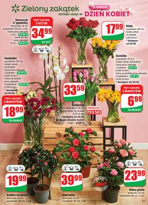 Dino - gazetka promocyjna Gazetka 10 / 2026 od środy 04.03 do wtorku 10.03 - strona 13