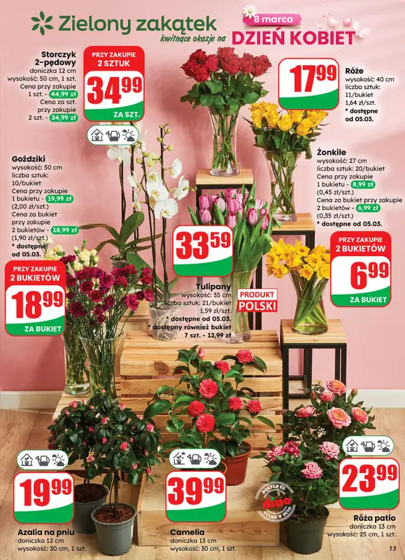 Dino - gazetka promocyjna Gazetka 10 / 2026 od środy 04.03 do wtorku 10.03 - strona 13