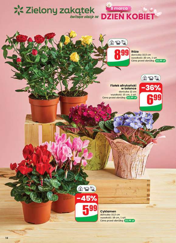 Dino - gazetka promocyjna Gazetka 10 / 2026 od środy 04.03 do wtorku 10.03 - strona 14