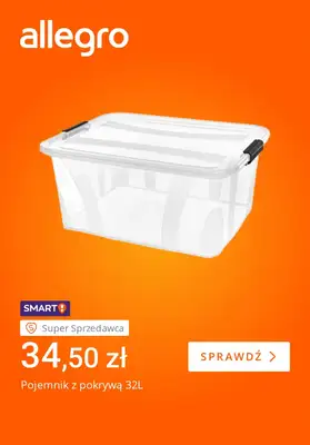 Allegro - gazetka promocyjna Wiosenne porządki i odnowa od wtorku 03.03 do poniedziałku 09.03 - strona 4