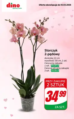 Dino - gazetka promocyjna Upominki na Dzień Kobiet od czwartku 05.03 do wtorku 10.03 - strona 3