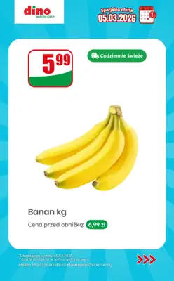 Dino - gazetka promocyjna Specjalna oferta na 05.03.2026 - promocje spoza gazetki od czwartku 05.03 do czwartku 05.03 - strona 4
