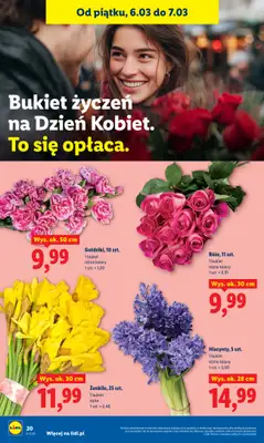 Lidl - gazetka promocyjna Oferta od czwartku od czwartku 05.03 do soboty 07.03 - strona 20
