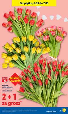 Lidl - gazetka promocyjna Oferta od czwartku od czwartku 05.03 do soboty 07.03 - strona 19