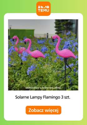 Temu - gazetka promocyjna Oświetlenie do ogrodu od czwartku 05.03  - strona 11