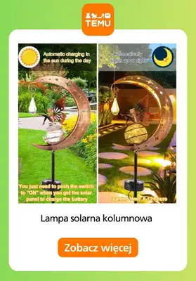 Temu - gazetka promocyjna Oświetlenie do ogrodu od czwartku 05.03  - strona 12