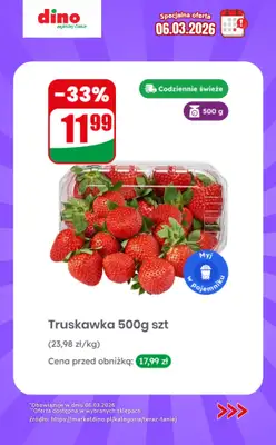 Dino - gazetka promocyjna Specjalna oferta na 06.03.2026 - promocje spoza gazetki od piątku 06.03 do piątku 06.03 - strona 2
