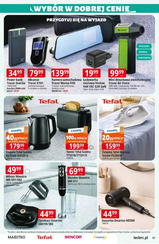 Leclerc - gazetka promocyjna Oferta E.Leclerc I Ogród od wtorku 10.03 do soboty 21.03 - strona 17