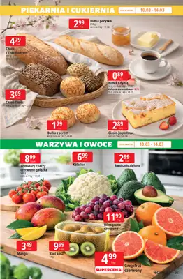 Leclerc - gazetka promocyjna Oferta E.Leclerc I Ogród od wtorku 10.03 do soboty 21.03 - strona 25