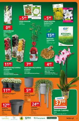 Leclerc - gazetka promocyjna Oferta E.Leclerc I Ogród od wtorku 10.03 do soboty 21.03 - strona 3
