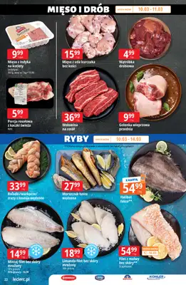 Leclerc - gazetka promocyjna Oferta E.Leclerc I Ogród od wtorku 10.03 do soboty 21.03 - strona 22