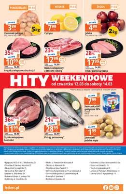 Leclerc - gazetka promocyjna Oferta E.Leclerc I Ogród od wtorku 10.03 do soboty 21.03 - strona 32