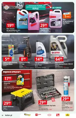 Leclerc - gazetka promocyjna Oferta E.Leclerc I Ogród od wtorku 10.03 do soboty 21.03 - strona 10