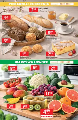 Leclerc - gazetka promocyjna Oferta E.Leclerc I Ogród od wtorku 10.03 do soboty 21.03 - strona 17
