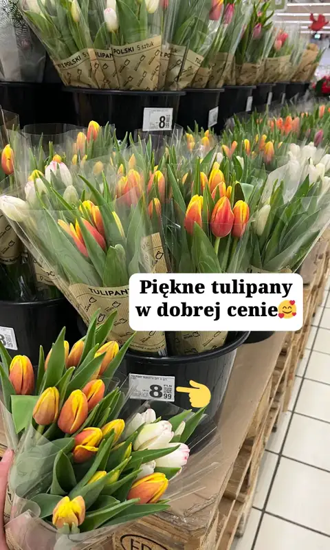 Auchan - gazetka promocyjna Zakupowe inspiracje w Auchan od piątku 06.03  - strona 14