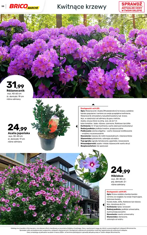 Bricomarche - gazetka promocyjna Katalog ogród od piątku 06.03 do niedzieli 16.08 - strona 58