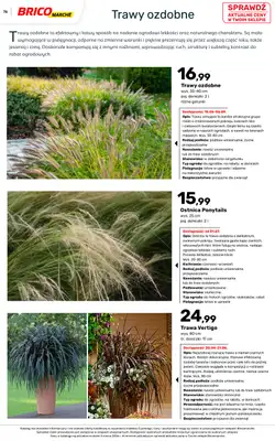 Bricomarche - gazetka promocyjna Katalog ogród od piątku 06.03 do niedzieli 16.08 - strona 76