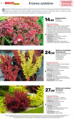 Bricomarche - gazetka promocyjna Katalog ogród od piątku 06.03 do niedzieli 16.08 - strona 61