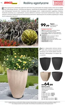 Bricomarche - gazetka promocyjna Katalog ogród od piątku 06.03 do niedzieli 16.08 - strona 70