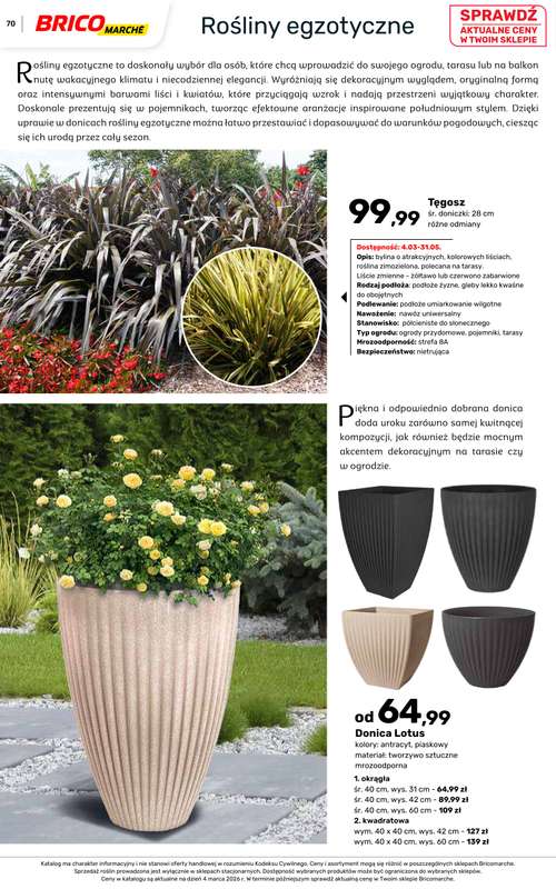 Bricomarche - gazetka promocyjna Katalog ogród od piątku 06.03 do niedzieli 16.08 - strona 70