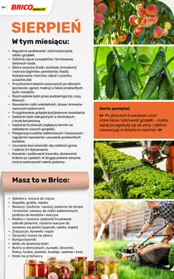 Bricomarche - gazetka promocyjna Katalog ogród od piątku 06.03 do niedzieli 16.08 - strona 129