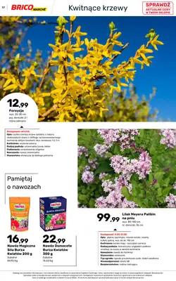 Bricomarche - gazetka promocyjna Katalog ogród od piątku 06.03 do niedzieli 16.08 - strona 57