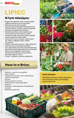 Bricomarche - gazetka promocyjna Katalog ogród od piątku 06.03 do niedzieli 16.08 - strona 128