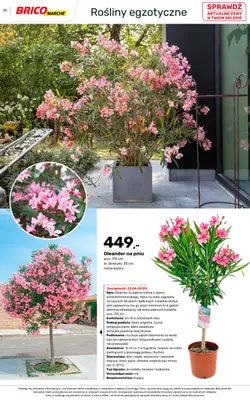 Bricomarche - gazetka promocyjna Katalog ogród od piątku 06.03 do niedzieli 16.08 - strona 71