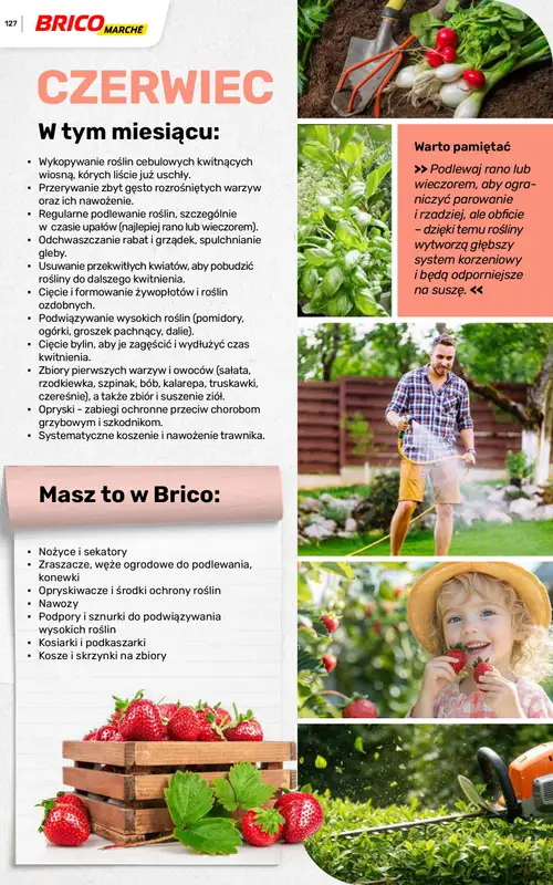 Bricomarche - gazetka promocyjna Katalog ogród od piątku 06.03 do niedzieli 16.08 - strona 127