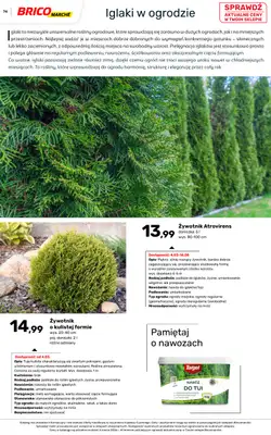 Bricomarche - gazetka promocyjna Katalog ogród od piątku 06.03 do niedzieli 16.08 - strona 74