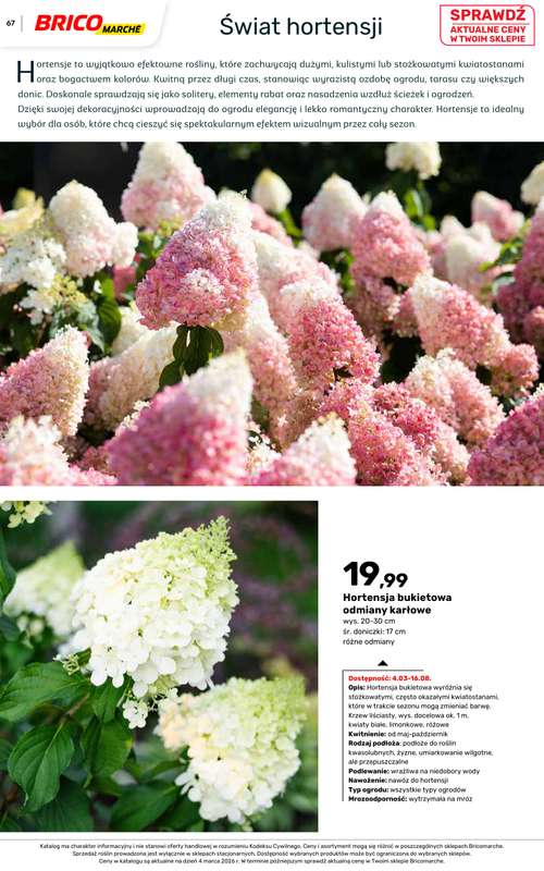 Bricomarche - gazetka promocyjna Katalog ogród od piątku 06.03 do niedzieli 16.08 - strona 67