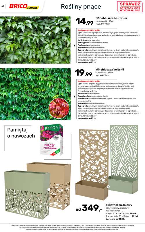 Bricomarche - gazetka promocyjna Katalog ogród od piątku 06.03 do niedzieli 16.08 - strona 60