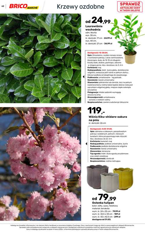 Bricomarche - gazetka promocyjna Katalog ogród od piątku 06.03 do niedzieli 16.08 - strona 62