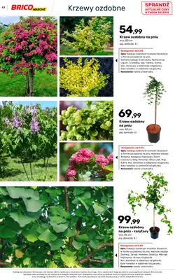 Bricomarche - gazetka promocyjna Katalog ogród od piątku 06.03 do niedzieli 16.08 - strona 63
