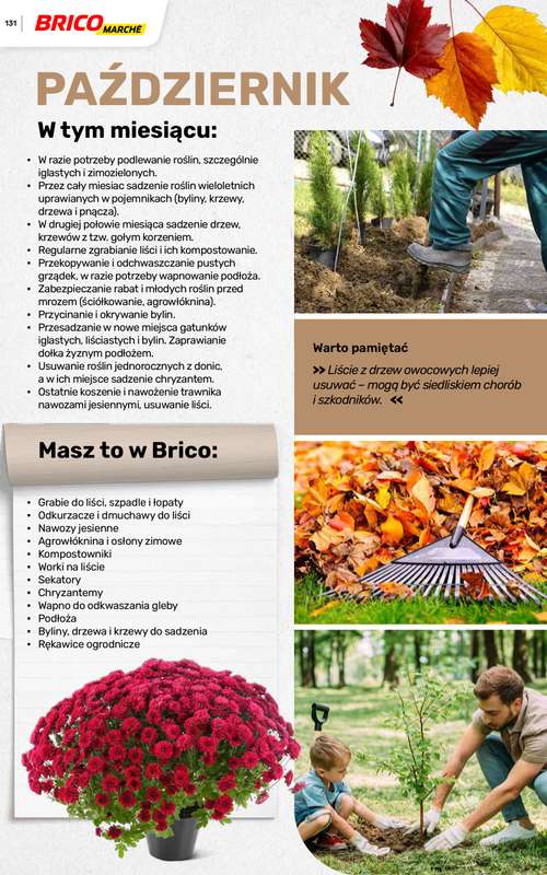 Bricomarche - gazetka promocyjna Katalog ogród od piątku 06.03 do niedzieli 16.08 - strona 131