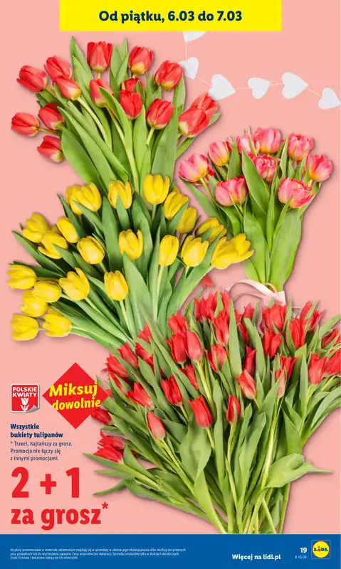 Lidl - gazetka promocyjna Oferta od czwartku od czwartku 05.03 do soboty 07.03 - strona 19