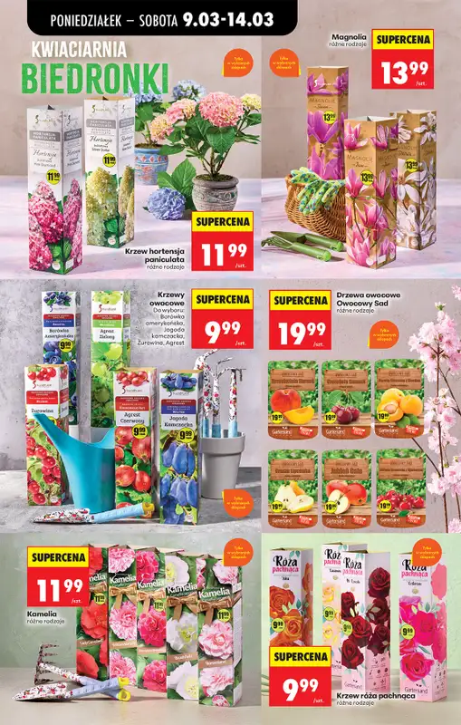 Biedronka - gazetka promocyjna Od poniedziałku, Z ladą tradycyjną od poniedziałku 09.03 do soboty 14.03 - strona 76