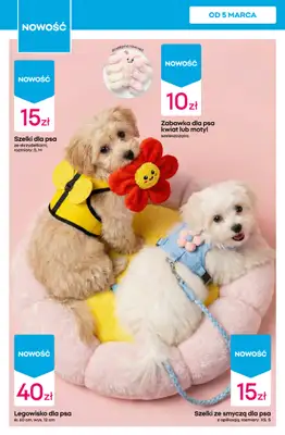 Pepco - gazetka promocyjna Gazetka od czwartku 12.03 do środy 18.03 - strona 12