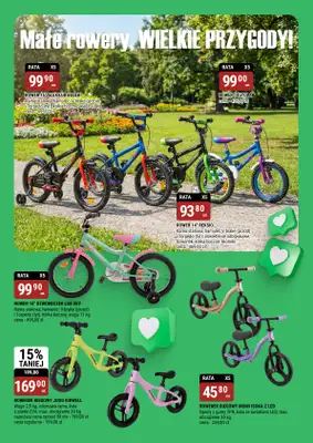 bi1 - gazetka promocyjna Gazetka Legnica I Twój ogród zaczyna się tutaj od środy 11.03 do soboty 04.04 - strona 15