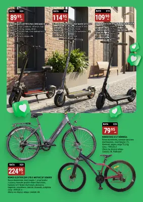 bi1 - gazetka promocyjna Gazetka Szczecin I Twój ogród zaczyna się tutaj od środy 11.03 do soboty 04.04 - strona 17