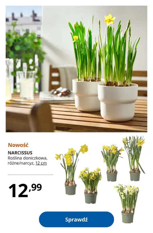 IKEA - gazetka promocyjna Najlepsze oferty! od poniedziałku 09.03 do wtorku 31.03 - strona 19