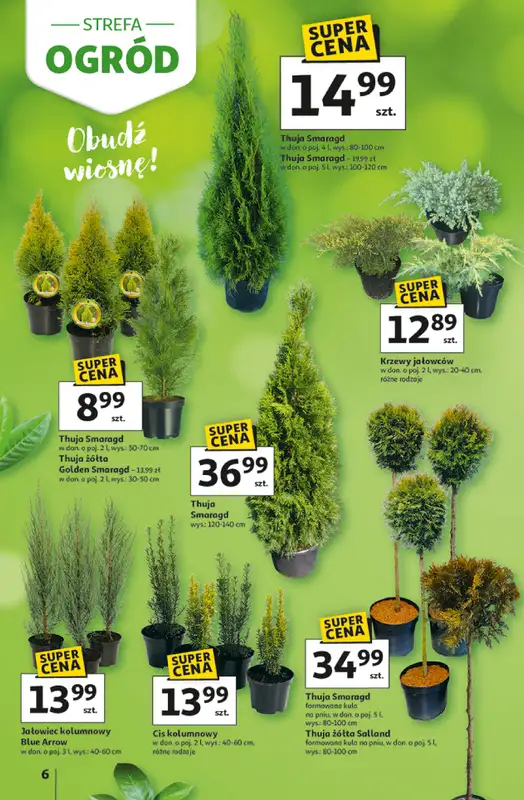 Auchan - gazetka promocyjna Gazetka Strefa Ogród Hipermarket Auchan od czwartku 12.03 do soboty 04.04 - strona 6